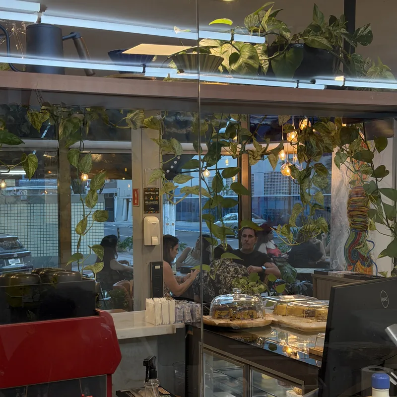 Balcão com doces na vitrine refrigerada e plantas penduradas